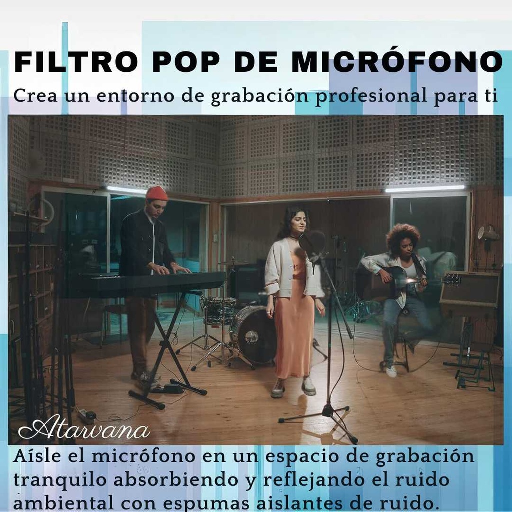 Pop Filters PF2