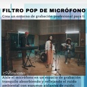 Pop Filters PF2